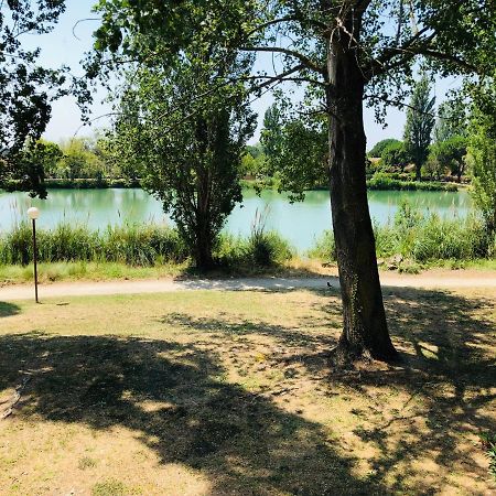 Appartement 239 Les Salicornes Arles Dış mekan fotoğraf